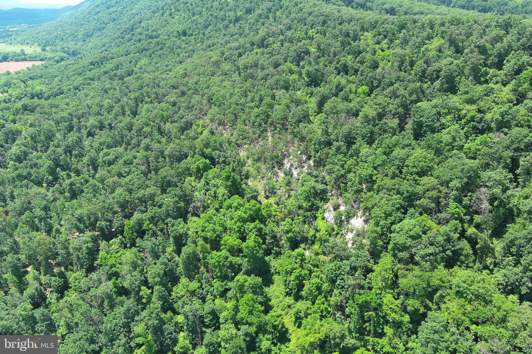 NONE AVAILABLE - Land