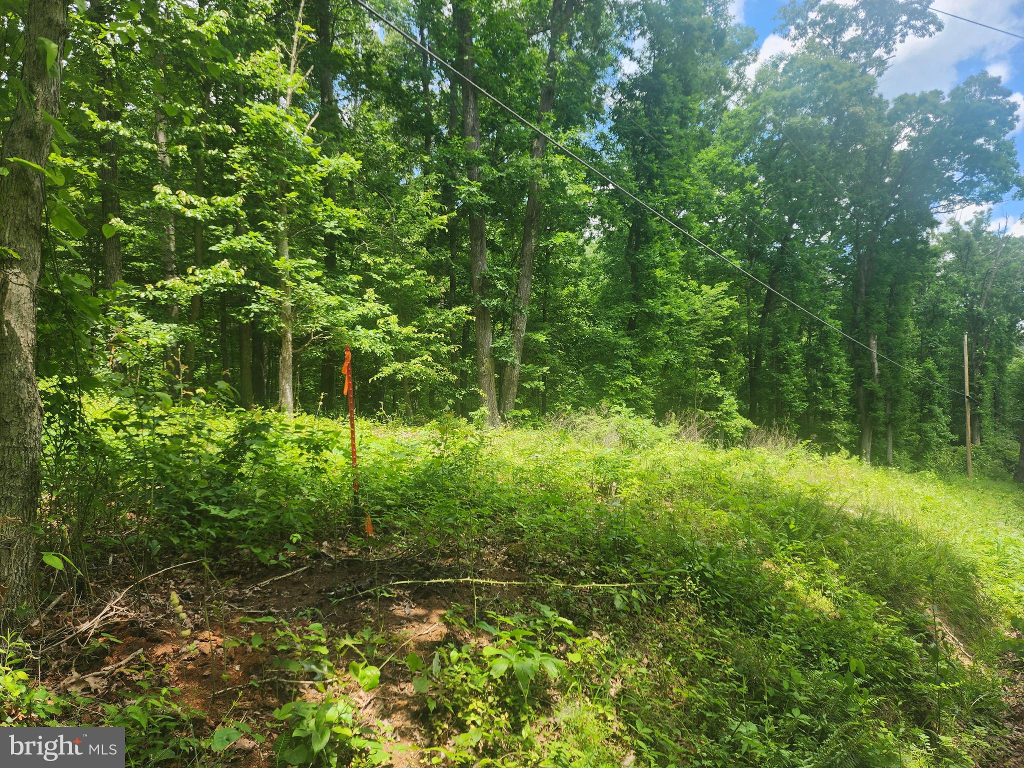 NONE AVAILABLE - Land