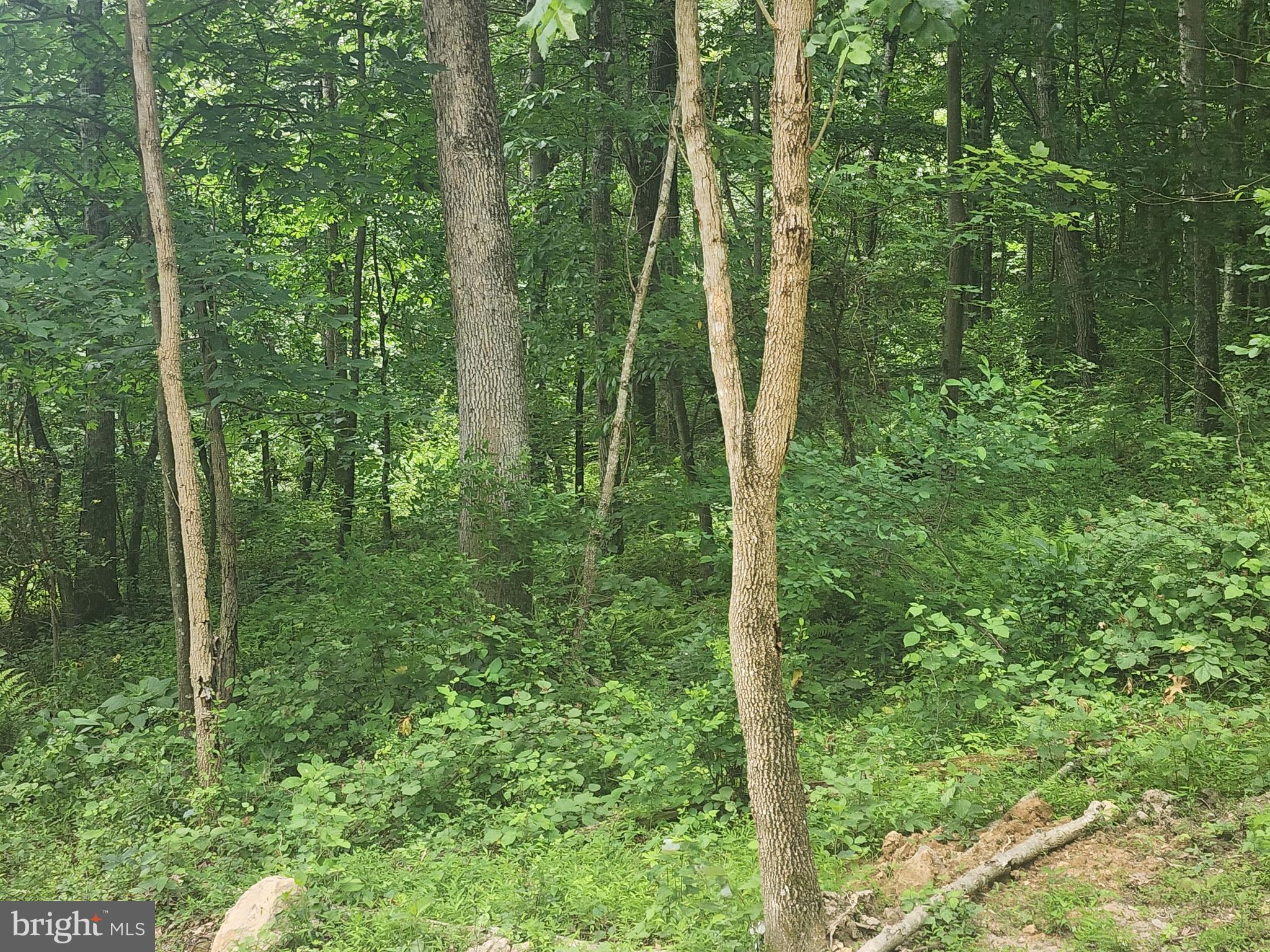 NONE AVAILABLE - Land