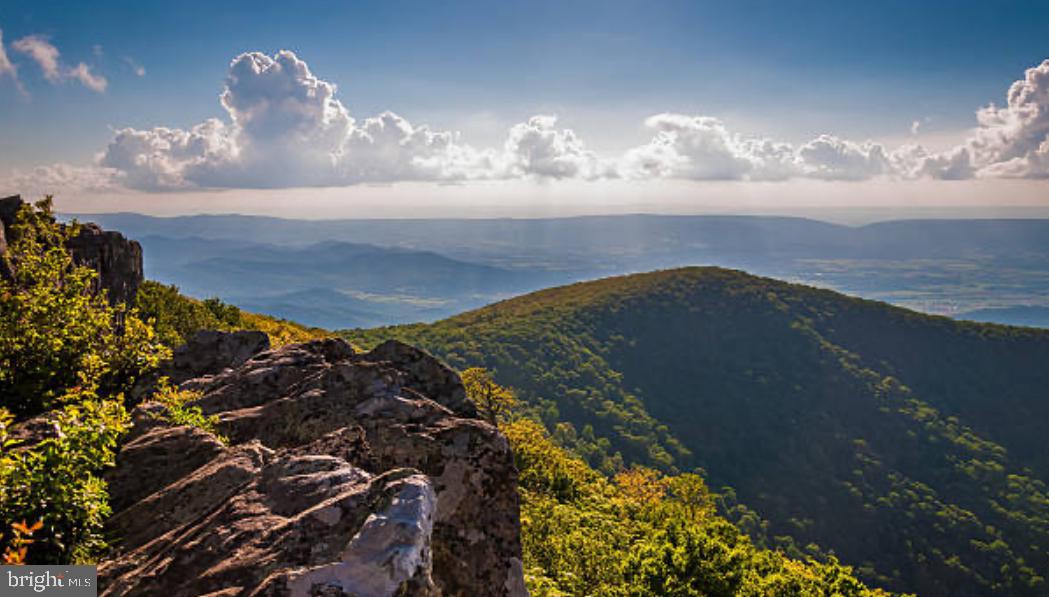 WINCHESTER - Residential