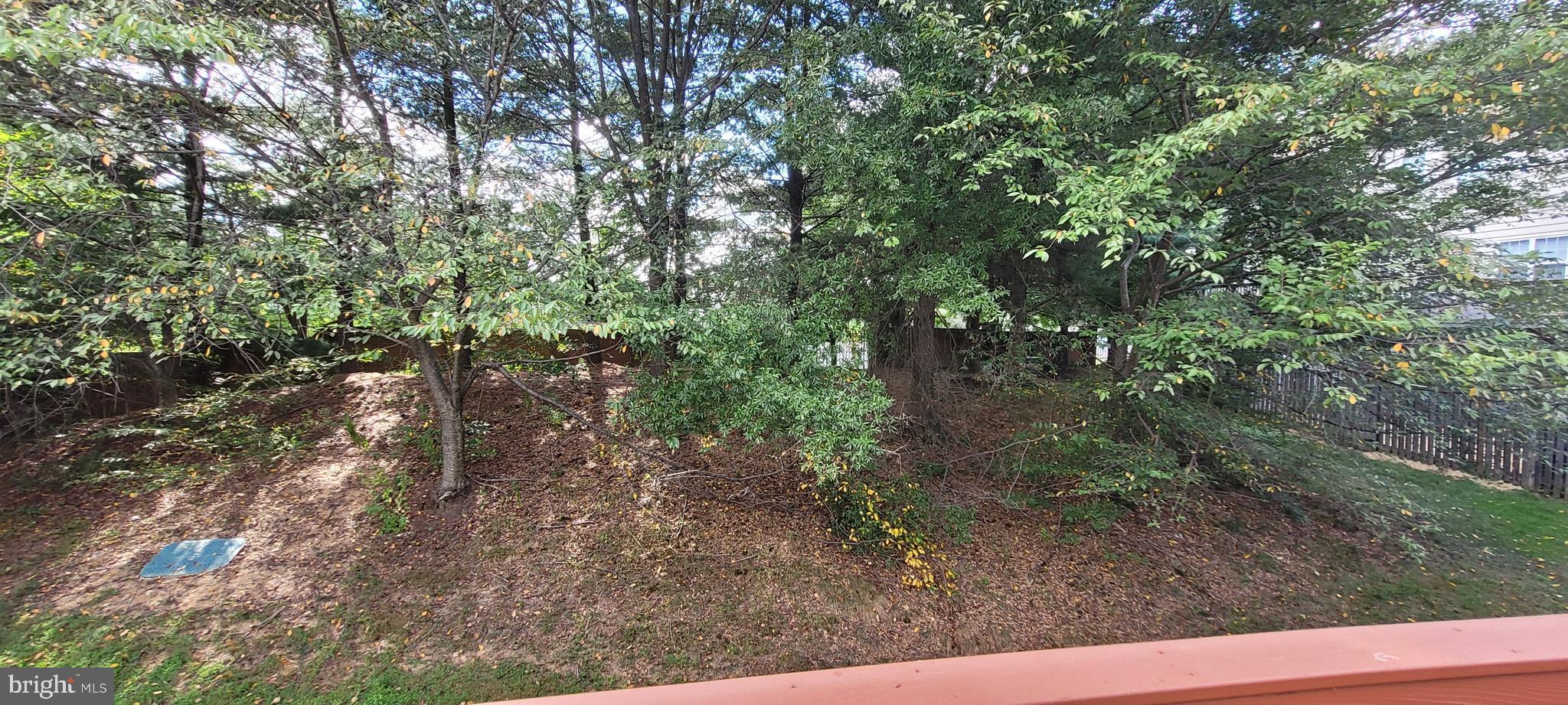 WINDSOR MEWS - Residential Lease