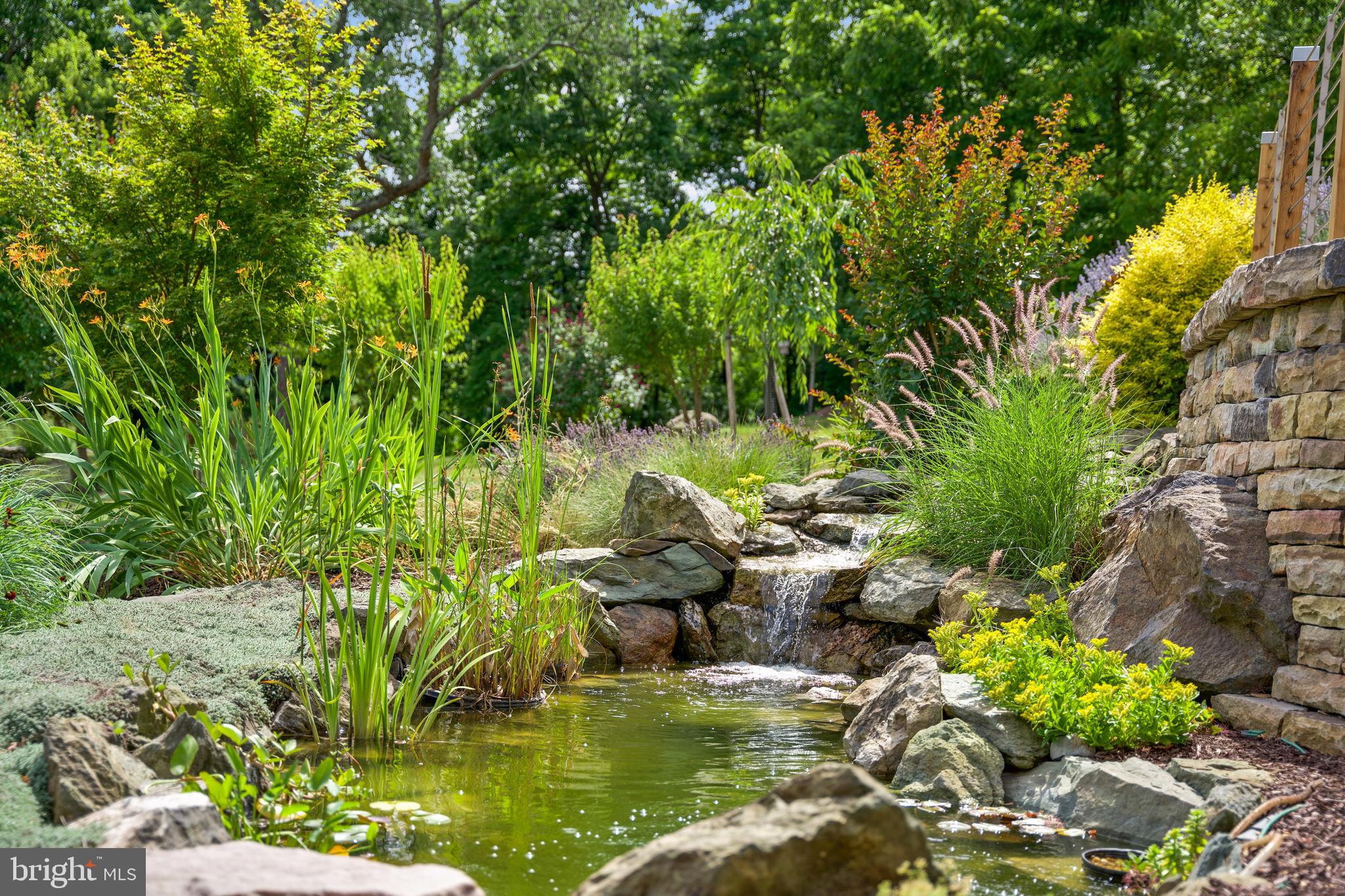 SQUIRREL WOOD - Residential