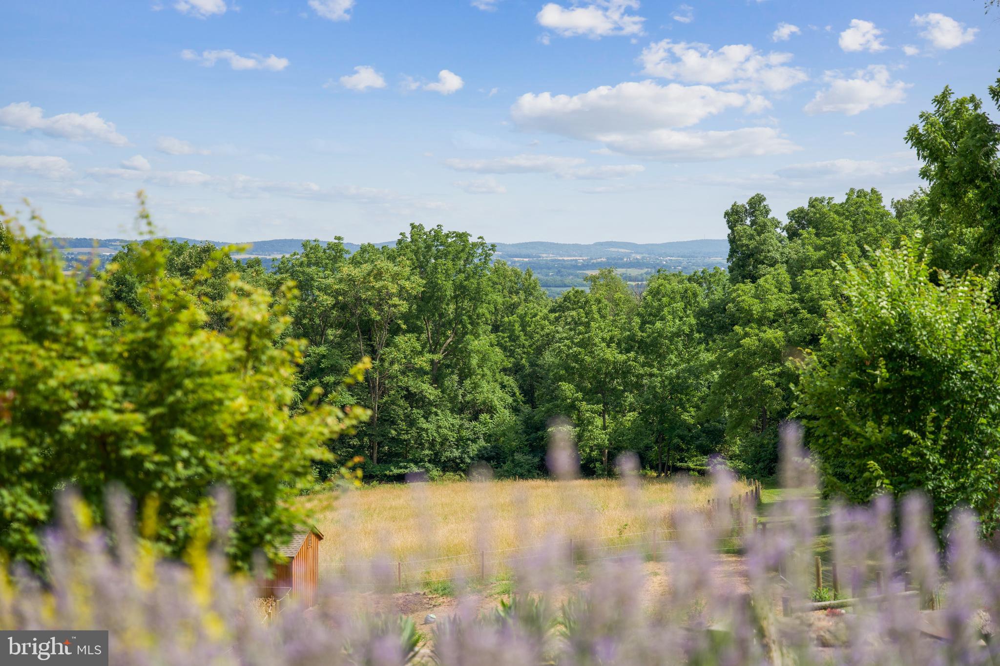 SQUIRREL WOOD - Residential