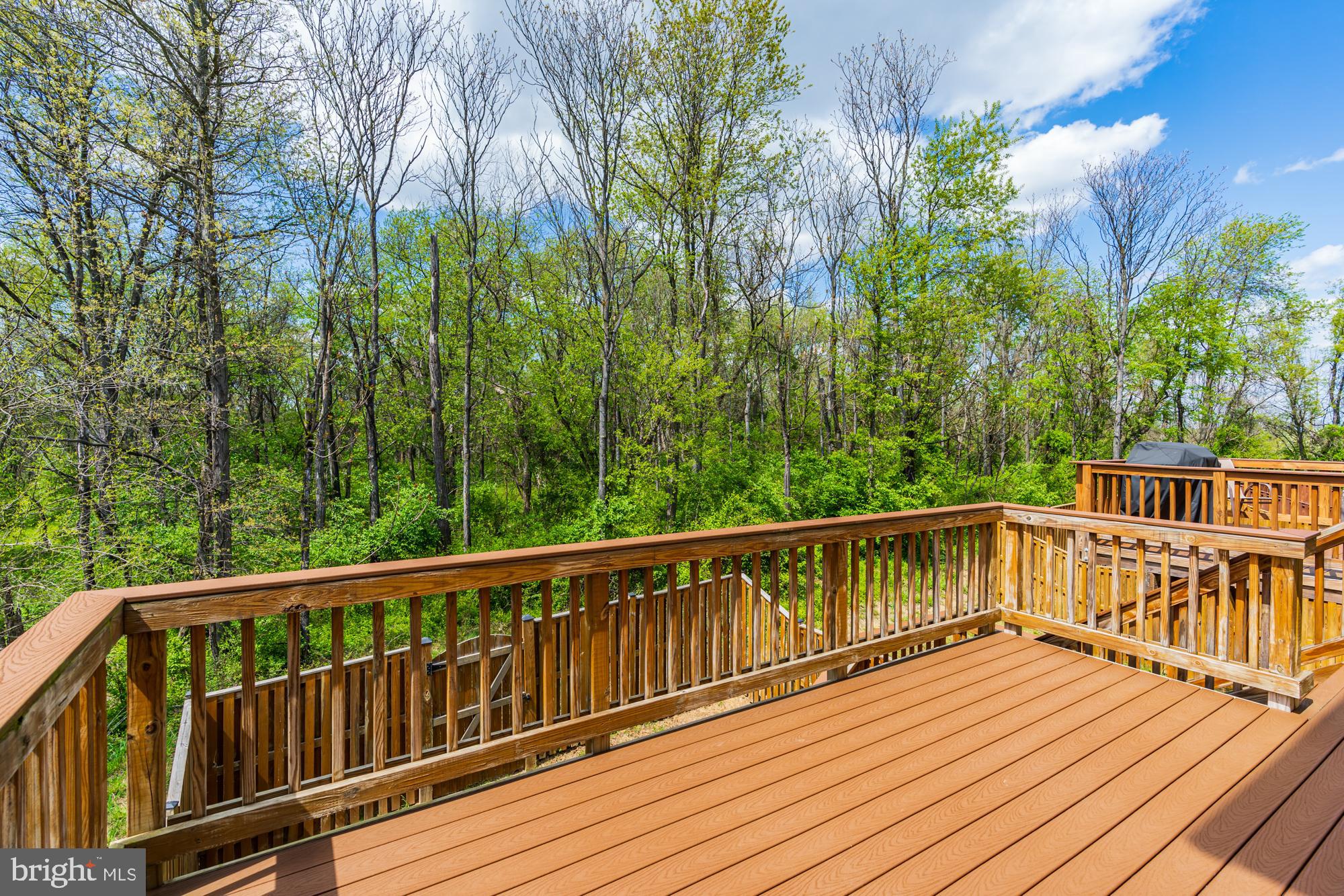 SNOWDEN BRIDGE - Residential Lease