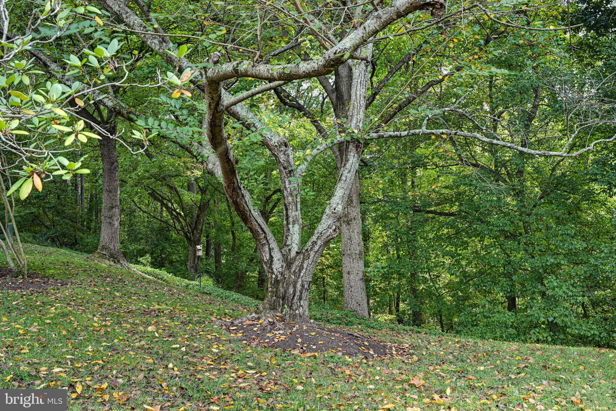 POTOMAC OUTSIDE - Residential Lease