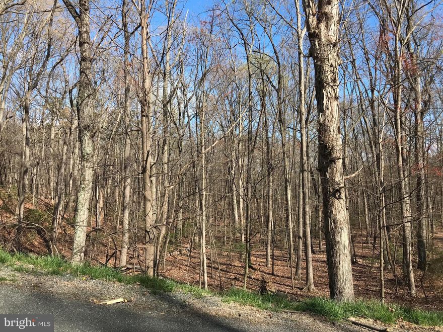 Now available in Bull Run Mountain, two parcels of land totaling 1.88 acres. Sale includes 1415 & 1417 Mercer Road. Recent (2023) soil evaluation indicates support for a 4-5 bedroom conventional drainfield with TL-3 drip reserve area. Seller is working with an AOSE to obtain a septic certification letter and will accept offers contingent on the county issuing the septic certification letter. Even though the sale includes two lots, the site is best suited for one large house. Refer to photos and attached files for a proposed house location. Public (community) water hookup is available -- refer to documents.