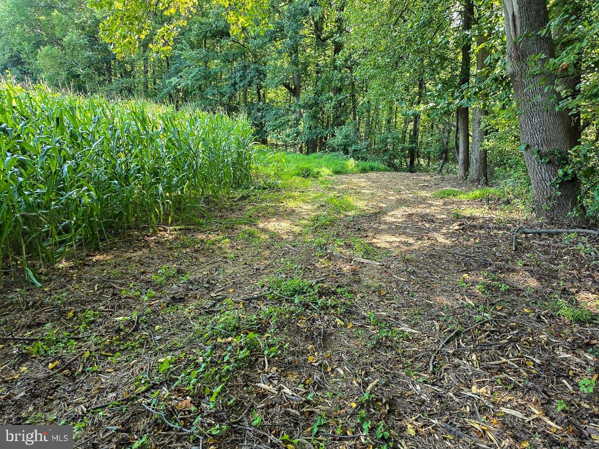 COBBLERS GROVE - Residential