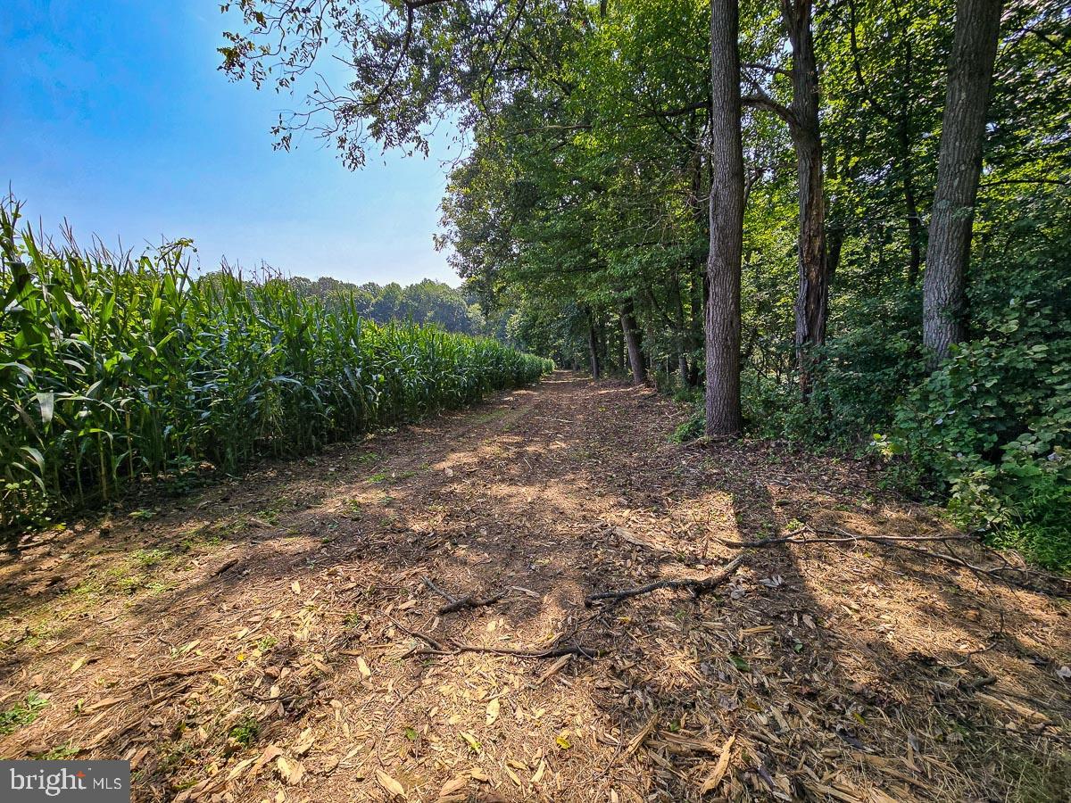 COBBLERS GROVE - Residential