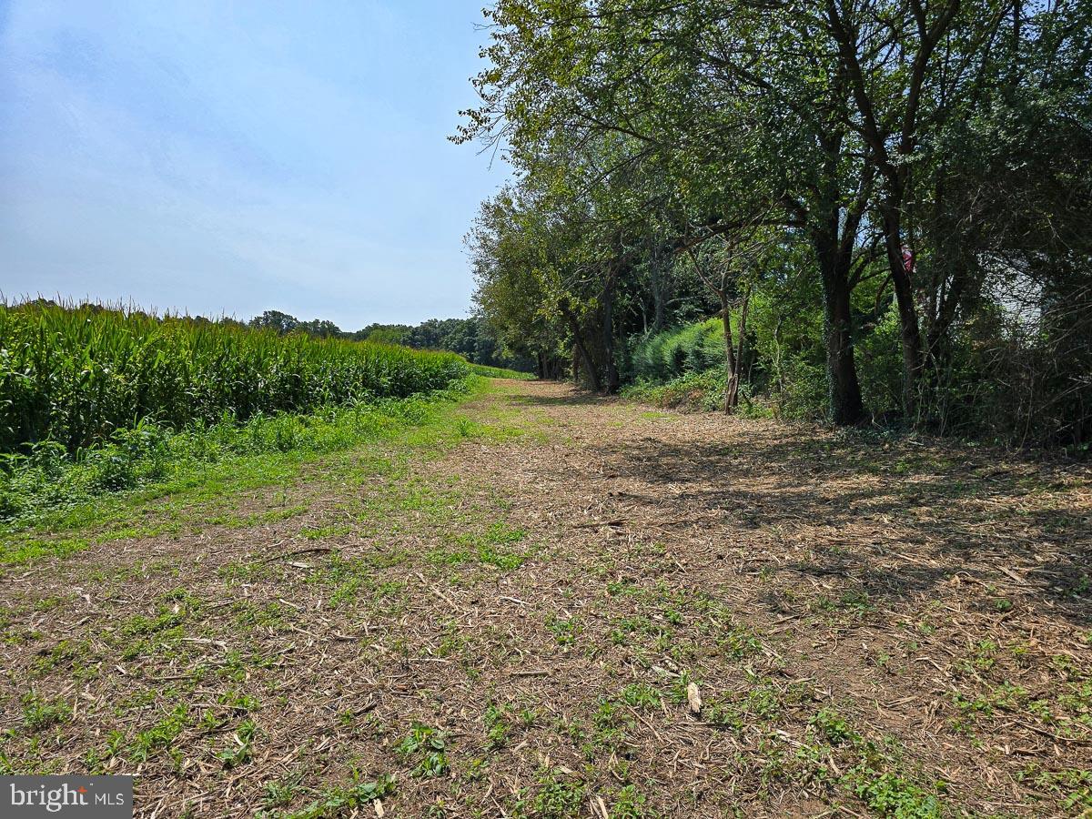 COBBLERS GROVE - Residential