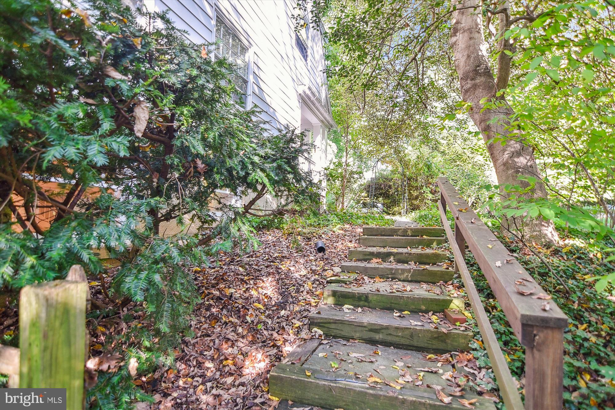 ROLAND PARK - Residential