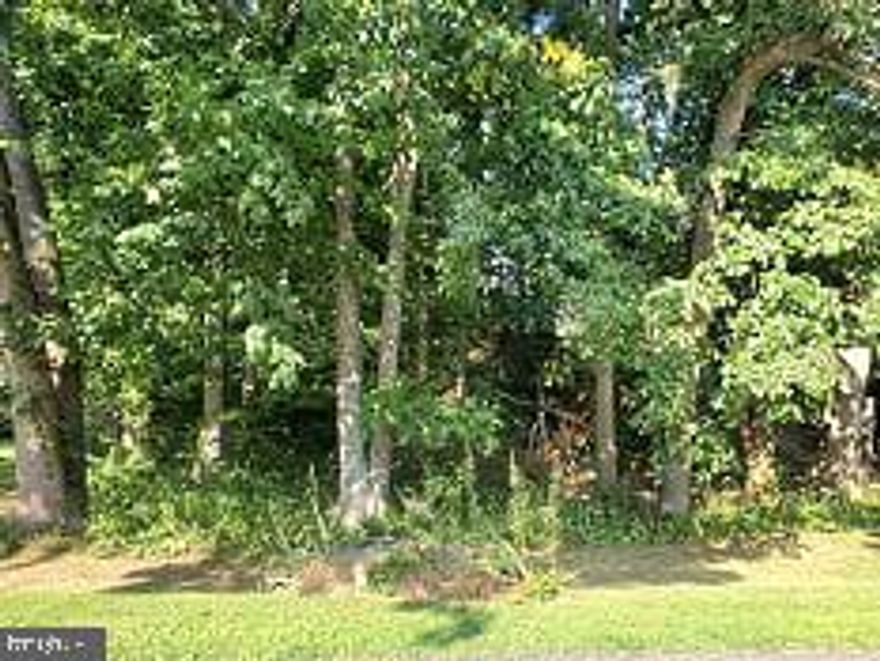 Auction.  Timed Online Only Real Estate Auction.  Bidding open August 31st-September 10th.  Parcel #0373.   1.255+/- Acres.  Terms:  Selling As Is.  The Listing Price is the starting bid amount.  10% of Ending Bid price required within 24 hours of Auction End.  Contract to be signed at delivery of deposit.  A 12% Buyers Fee will be added to the high bid amount.  Buyer pays all settlement costs/transfer fees/recording fees.  Must settle in 30 days or deposit is forfeited.  Additional terms can be found in the online listing.  Any questions, contact Dennis at W. Wachter Auctions and Assoc.