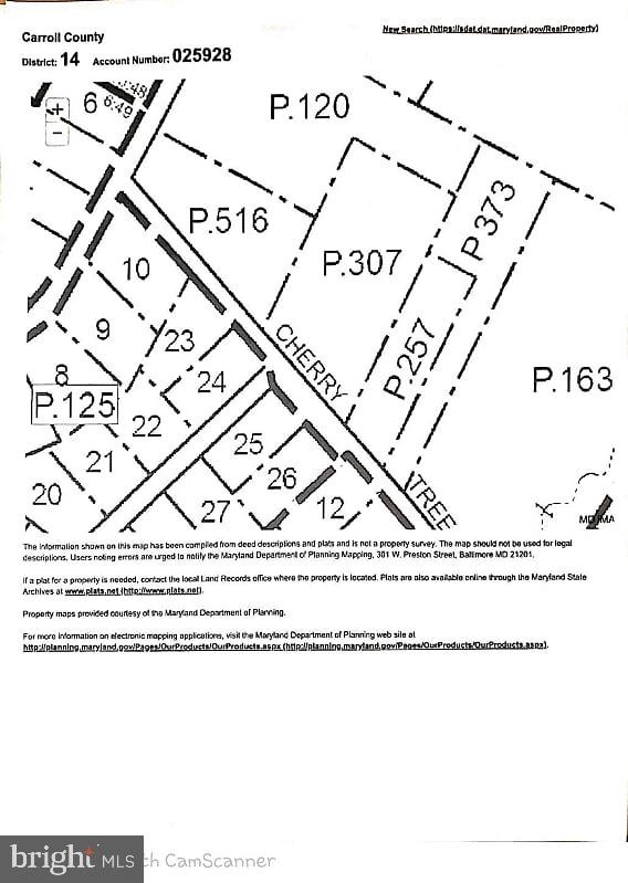 Main image without alt text