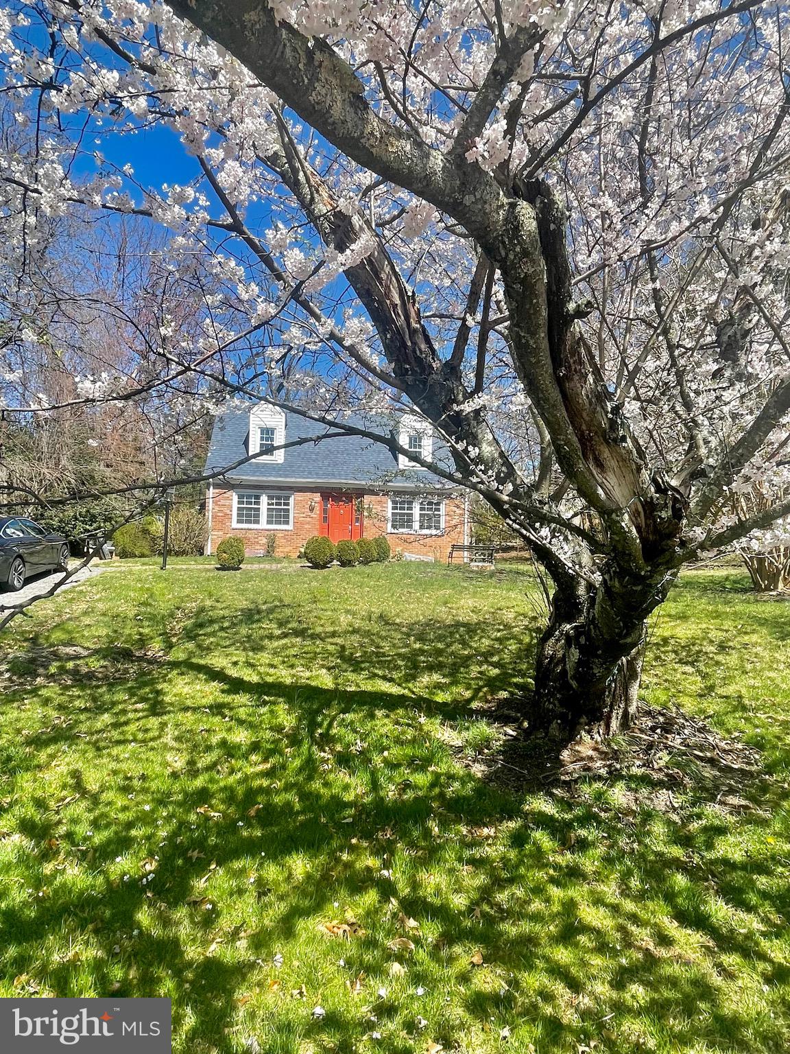 WILLIAMSBURG VILLAGE - Residential