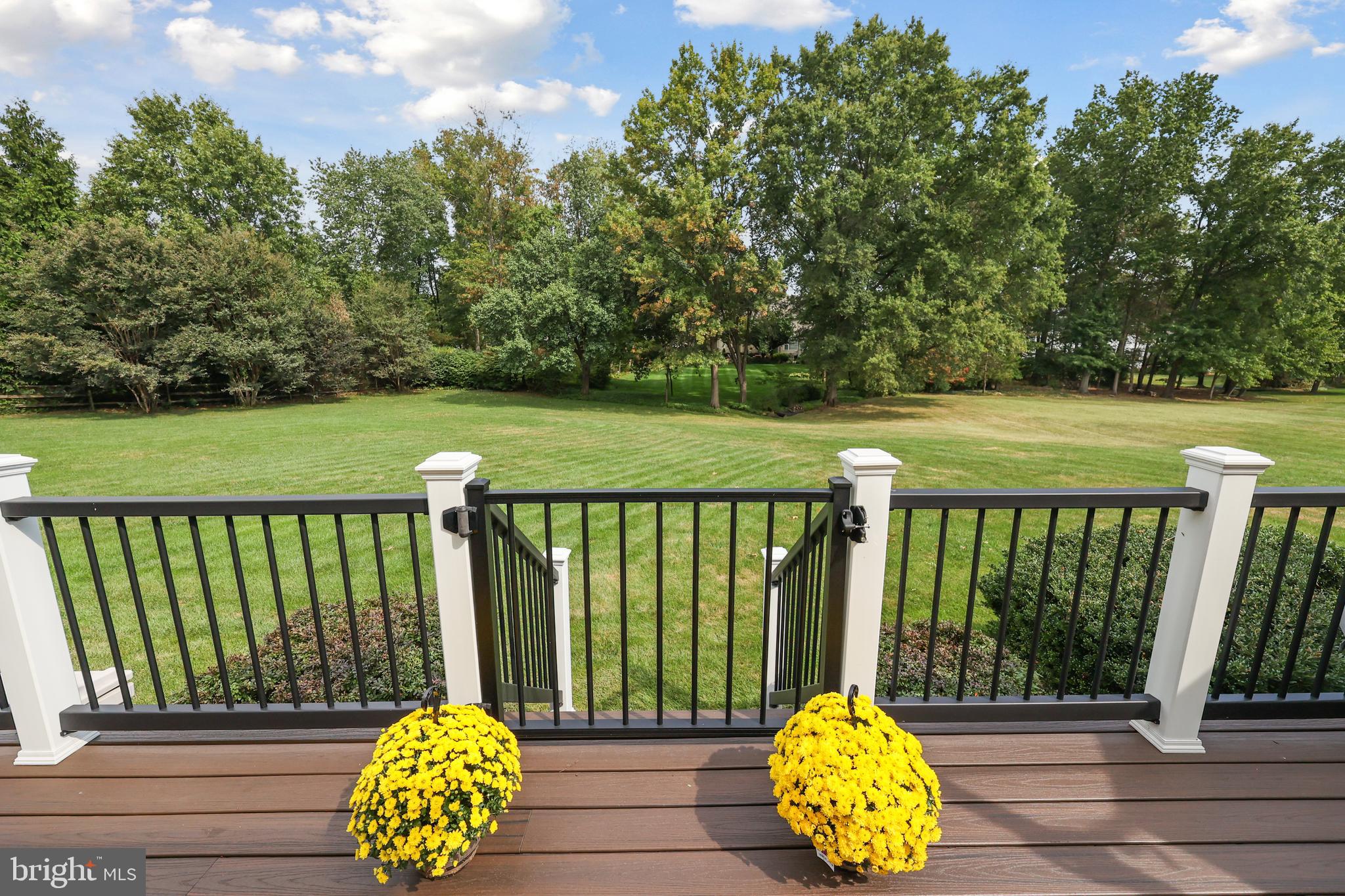 VIRGINIA RUN - Residential