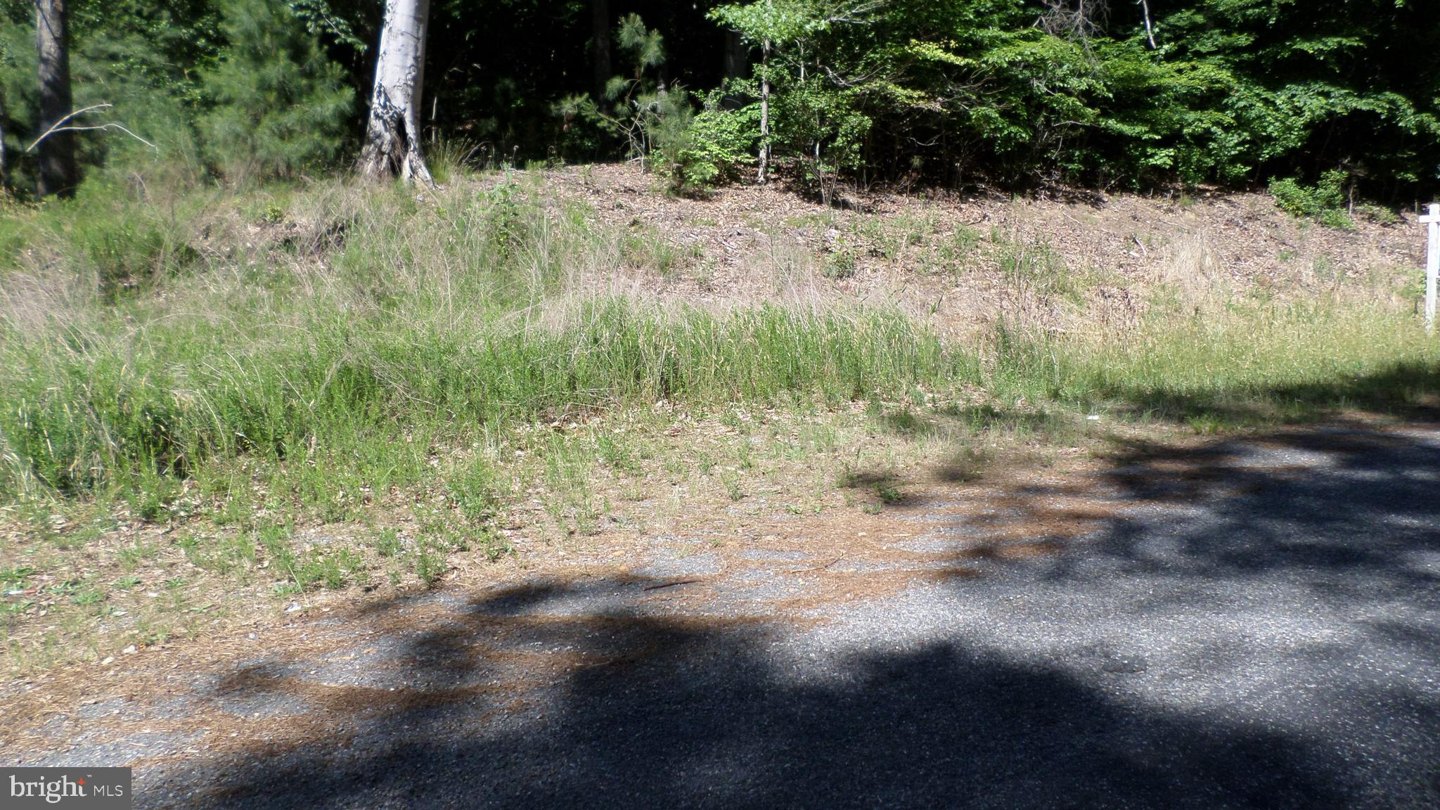 CASTLE DRIVE - Photo 2