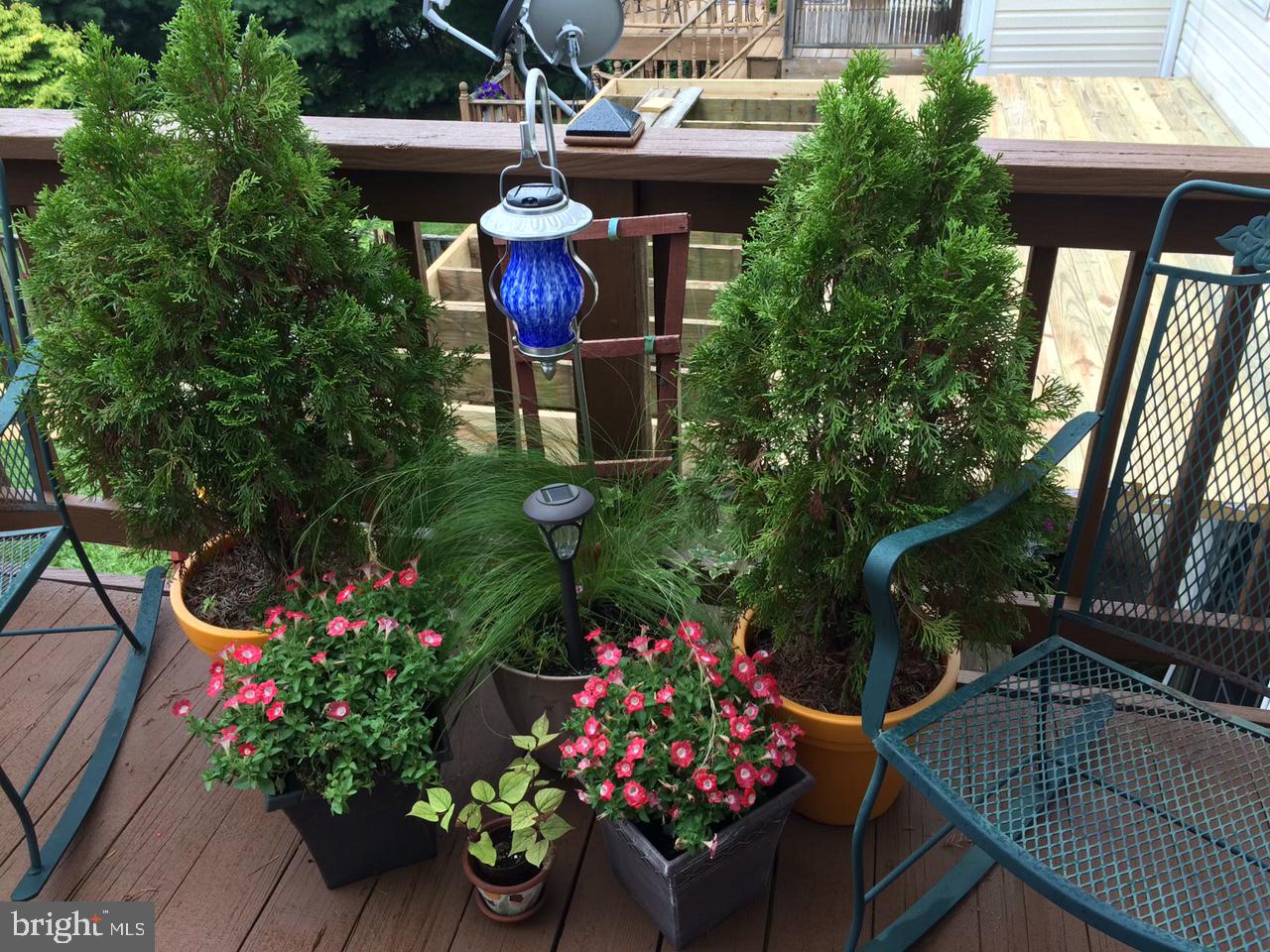 COUNTRY WALK - Residential