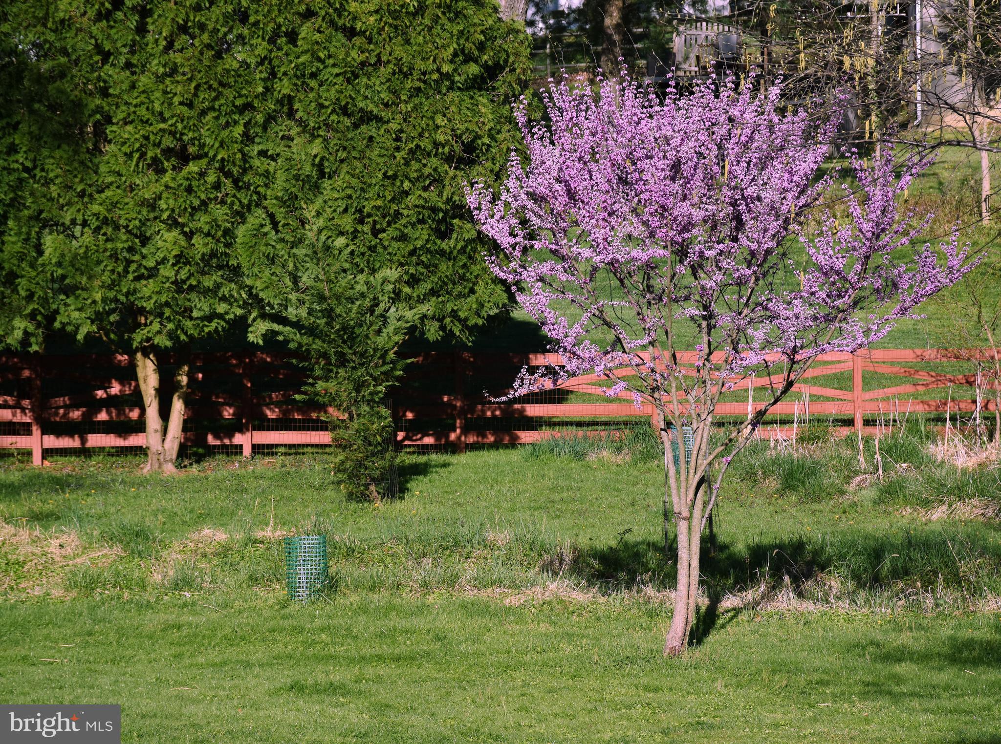 VALLEY VIEW - Residential