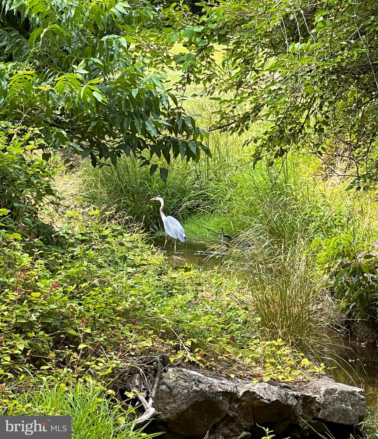 VALLEY VIEW - Residential