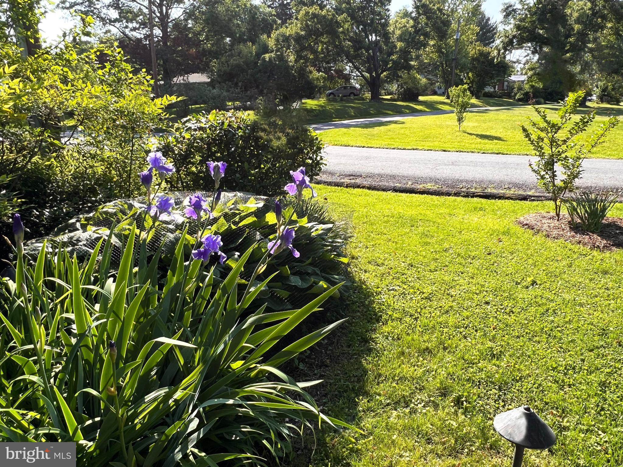 VALLEY VIEW - Residential