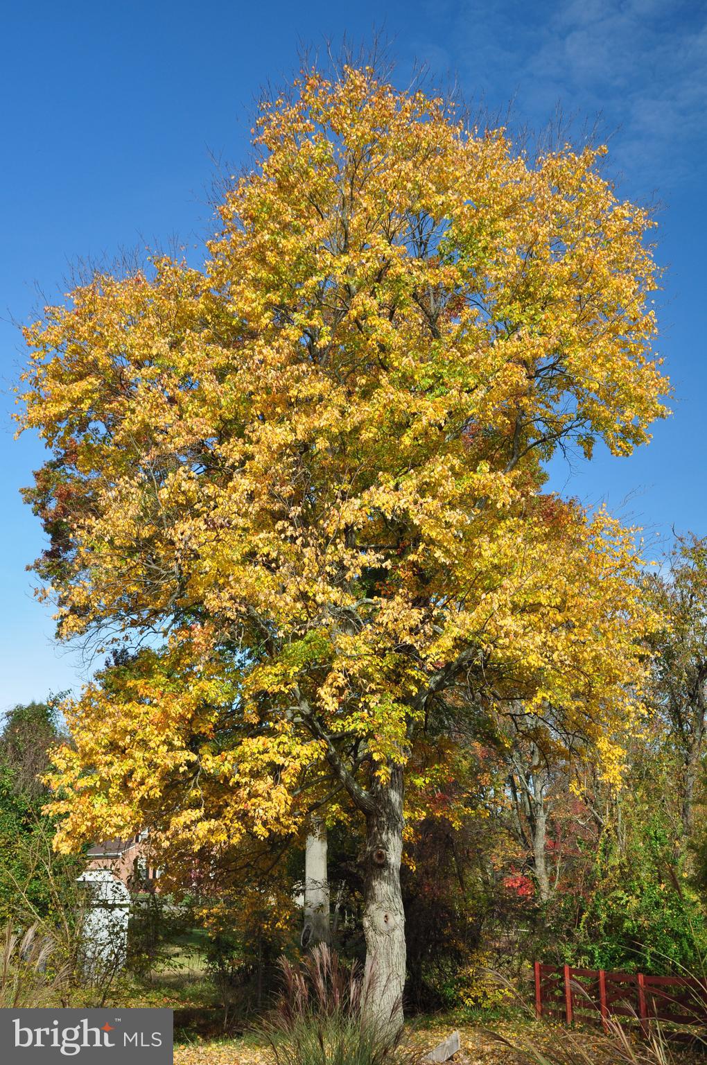 VALLEY VIEW - Residential