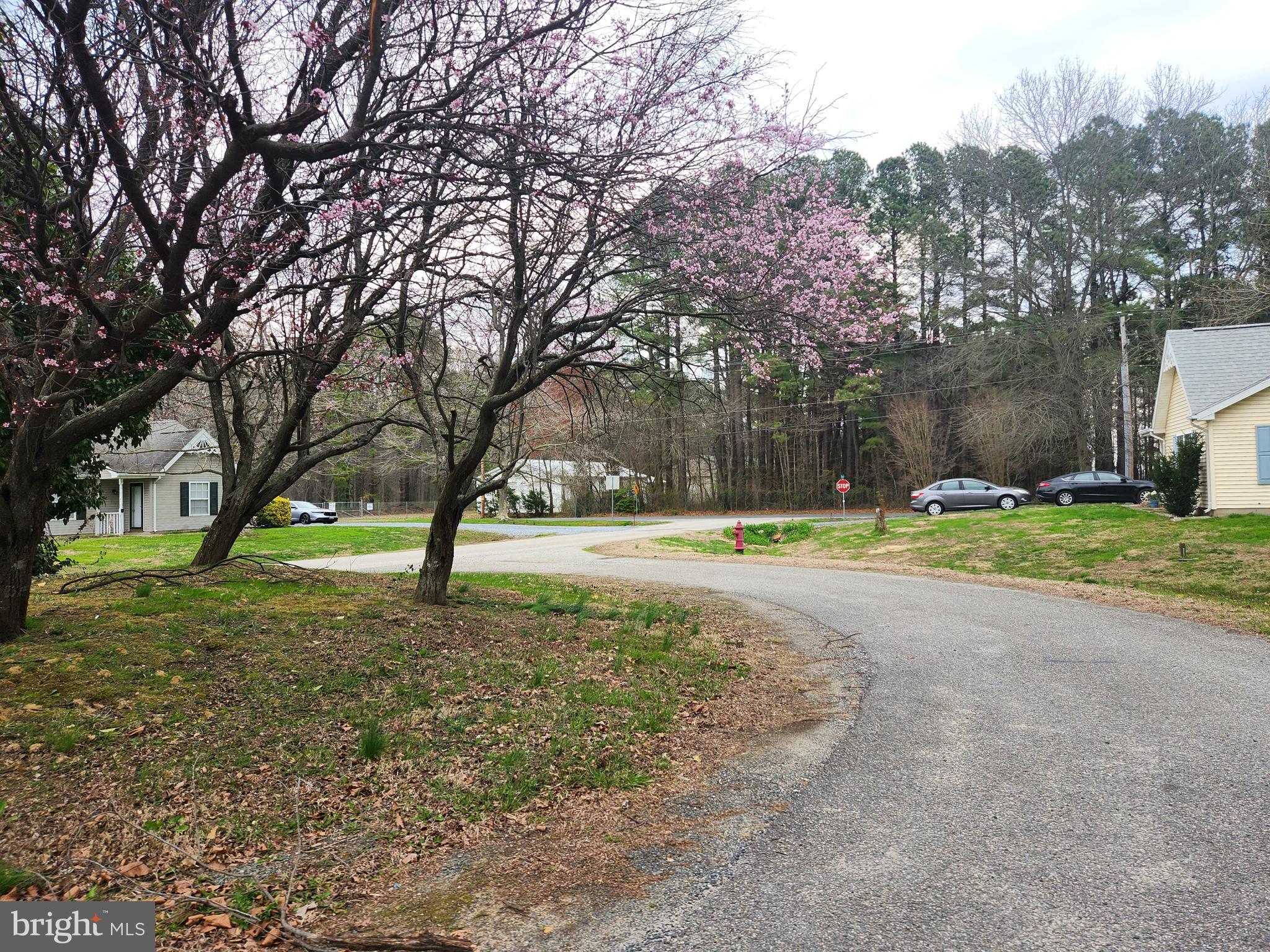 6166 DORLON DRIVE
