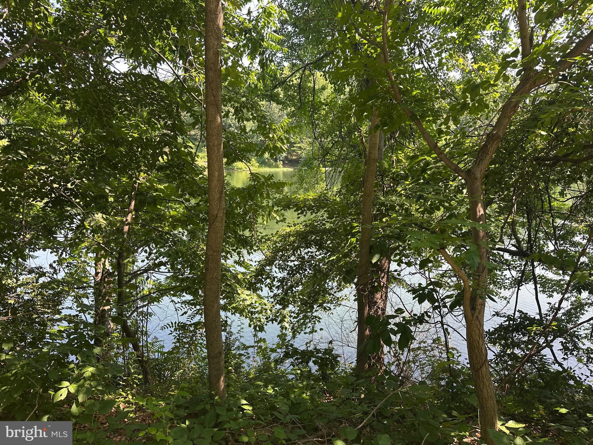 20408 SHORE HARBOUR DRIVE 5-C