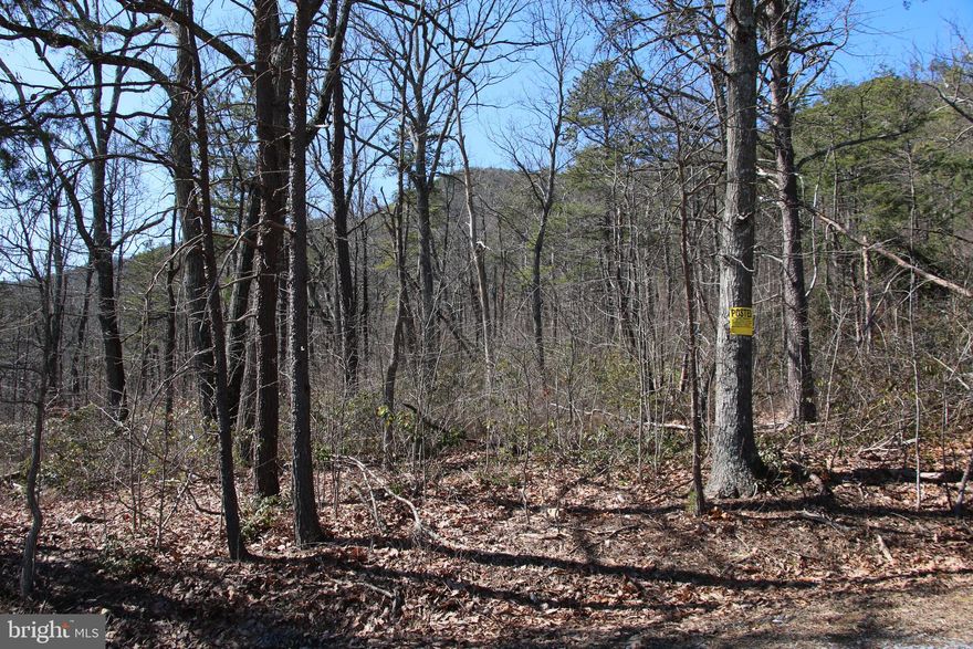 Conveniently located just a few miles west of Shenandoah on the eastern slope of First Mountain. This premier lot is part of the Shipwreck Farms Community and access is secured by road frontage on Shipwreck Road. Adjoining the George Washington National Forest this land provides for private access to the thousands of acres the national forest contains. Ownership in this community includes access to all the fun and adventure the Shenandoah River has to offer also. Stunning year round views of the valley below are attainable with some tree clearing. Multiple trail heads either begin on this parcel or are a very short distance away for those avid hikers to tackle. With end of the road privacy and seclusion this would make a terrific location for your next country home or vacation rental. Utilities are nearby making for affordable connections. Fully wooded parcel with a good mix of hardwood and softwood trees. Enjoy hiking, camping, and recreation of all types on this lot. Terrific hunting opportunities for deer, bear, and small game exist. This land is zoned Residential and the topography is gently sloping and builder friendly.