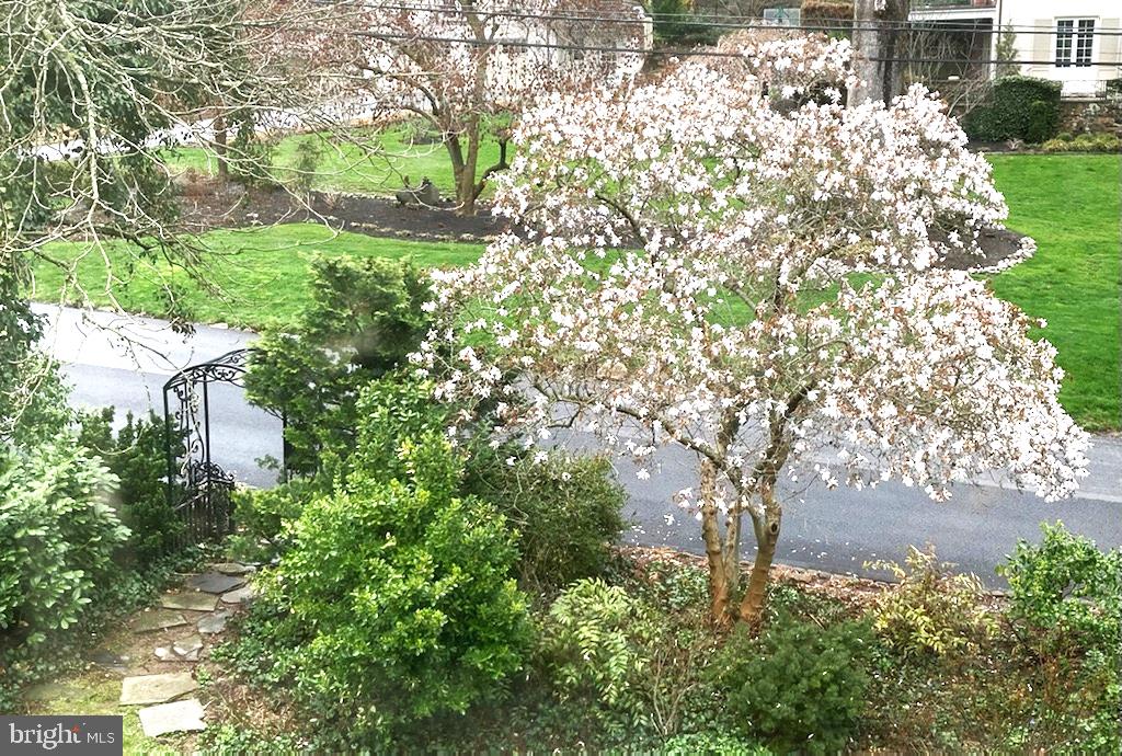 SOUTH WAYNE - Residential