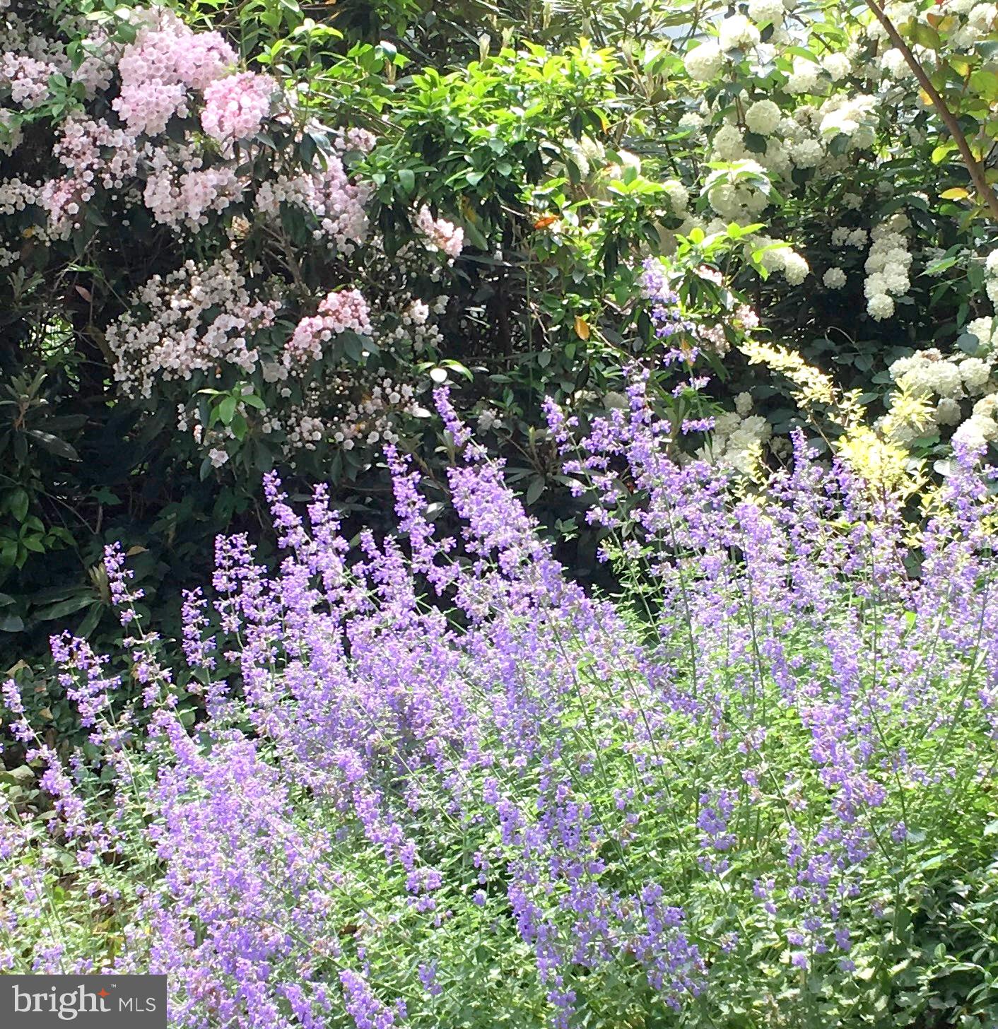 SOUTH WAYNE - Residential