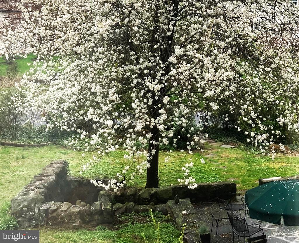 SOUTH WAYNE - Residential