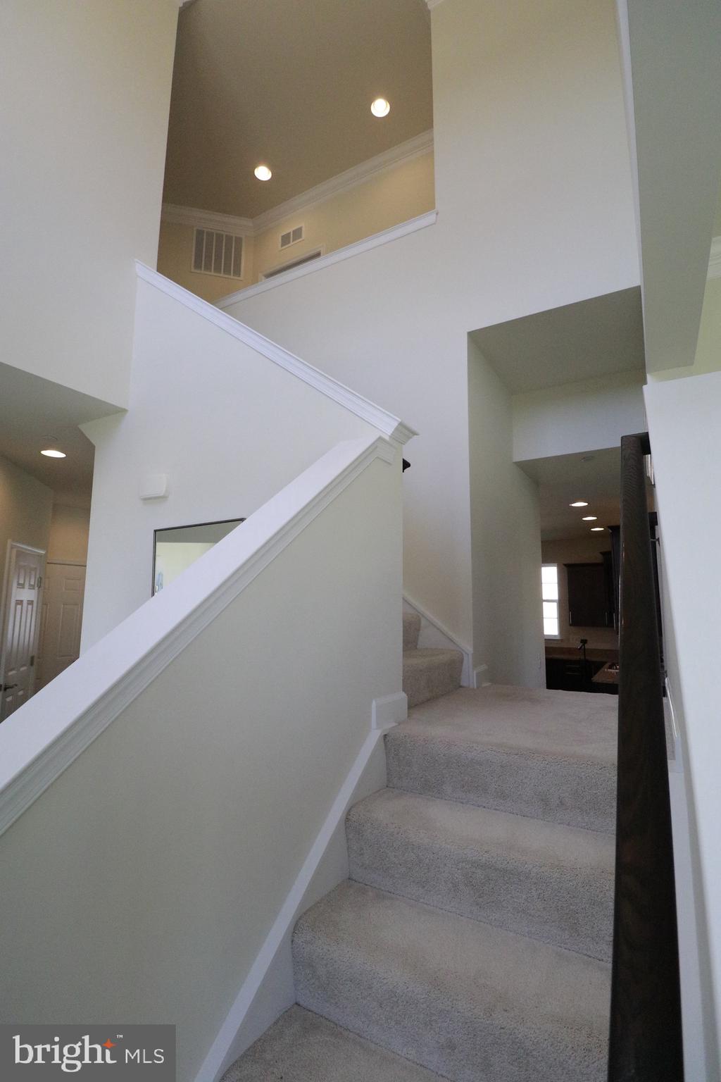 THE VINEYARDS - Residential