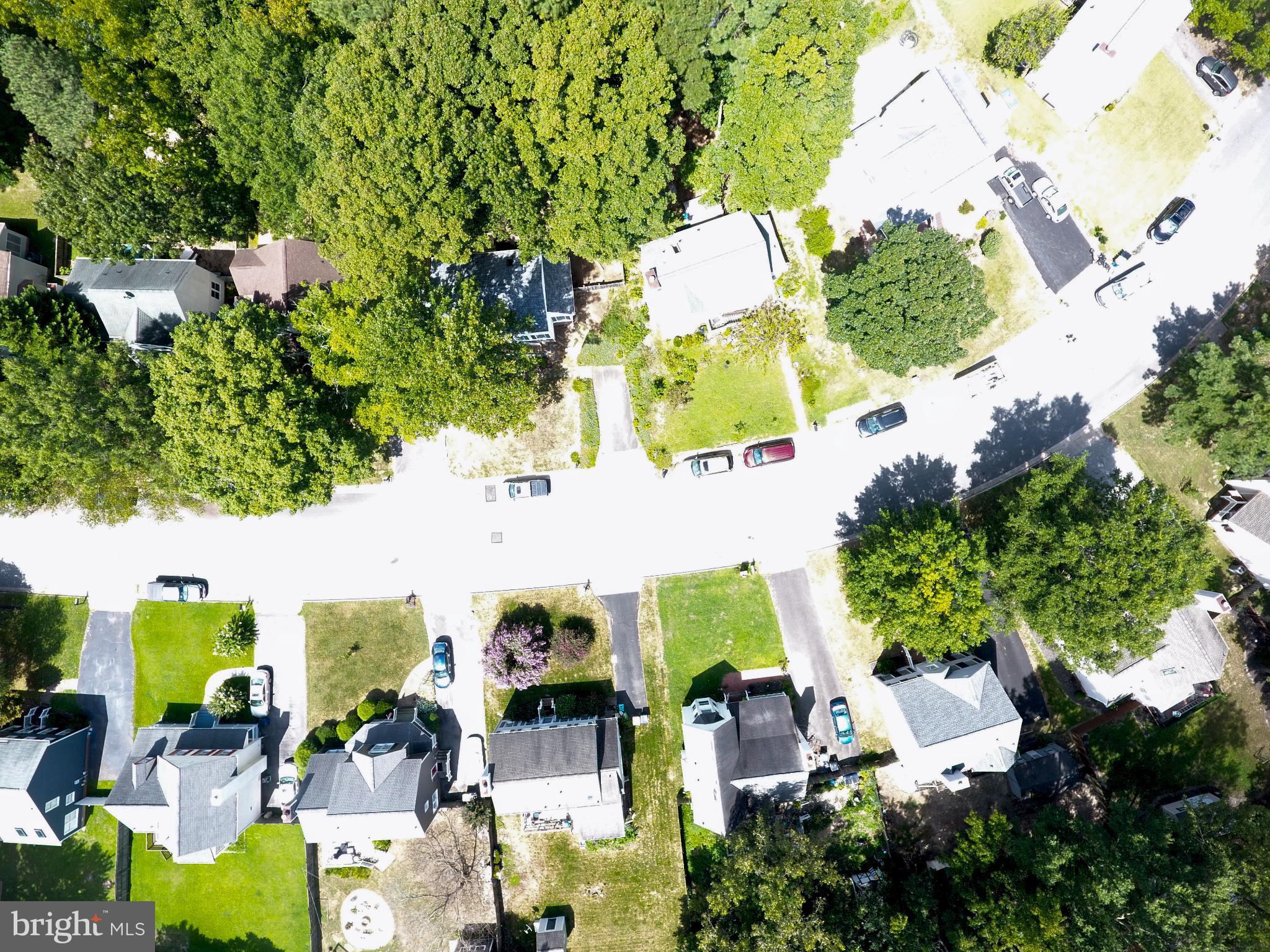 MILL VALLEY - Residential