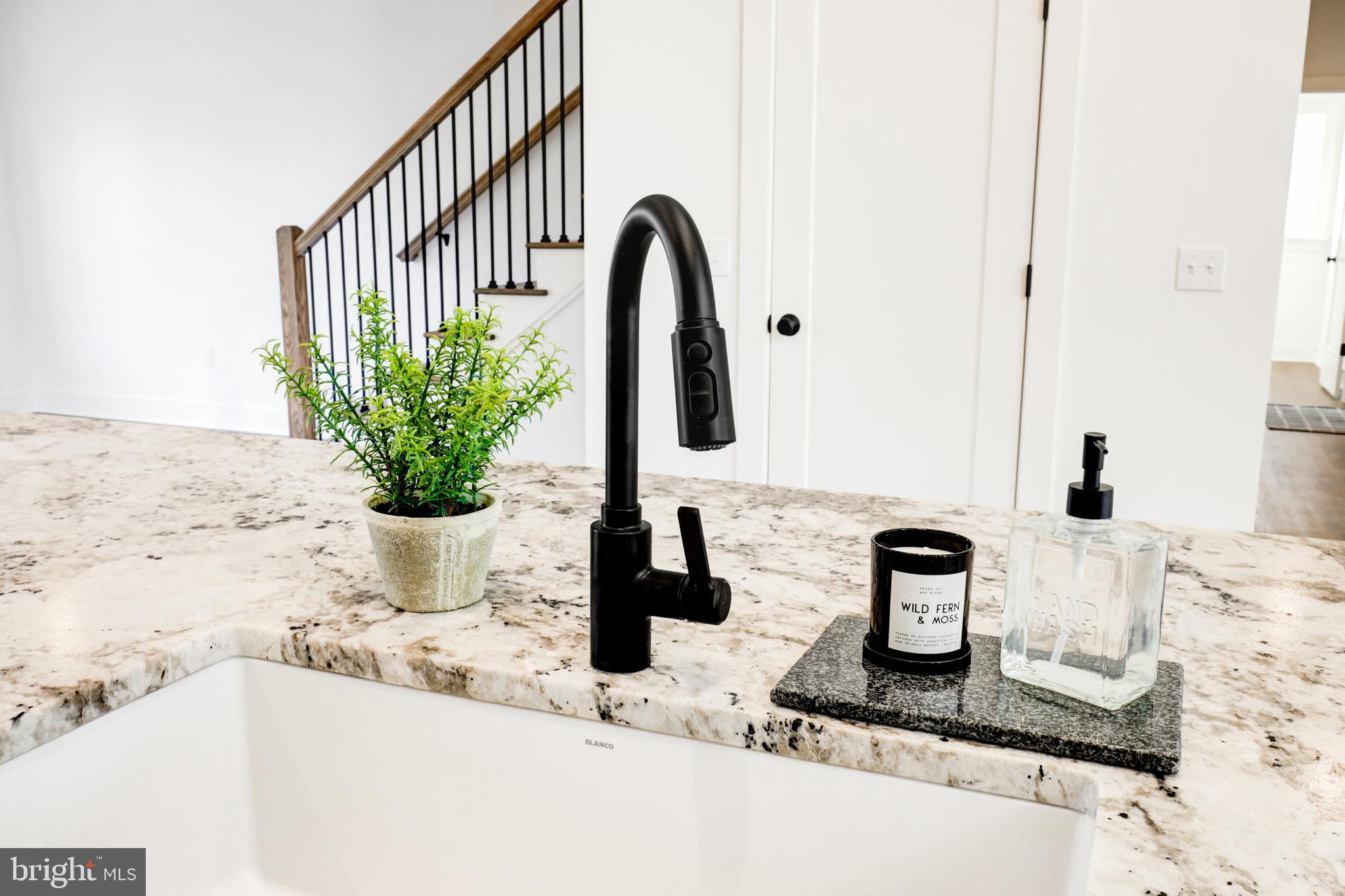 PARKSIDE AT LAMPETER - Residential