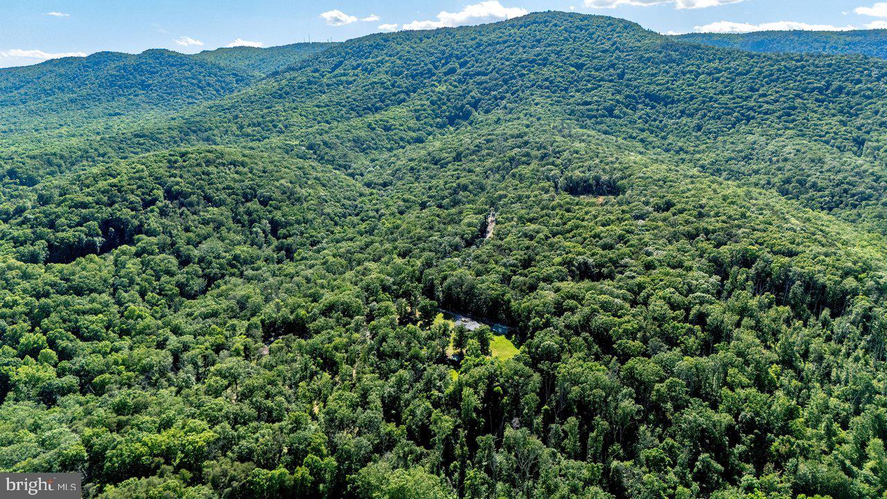 BATTLE CREEK FOREST - Residential