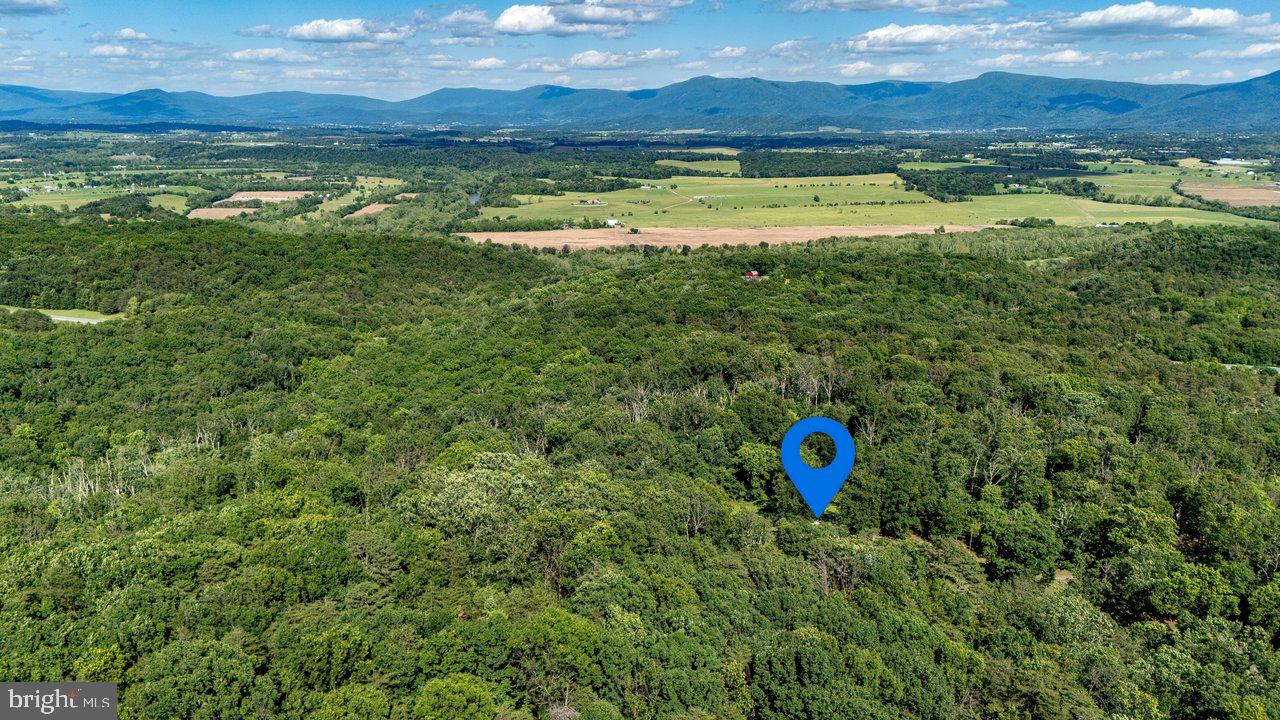 BATTLE CREEK FOREST - Residential