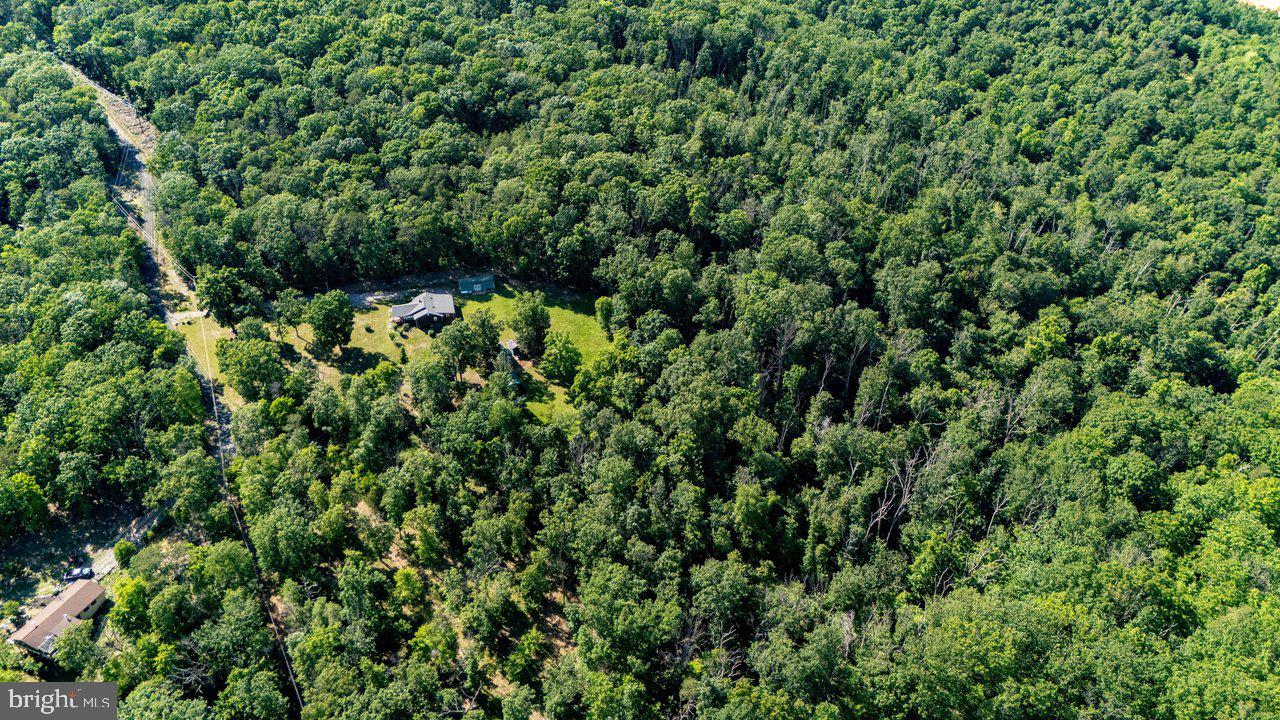 BATTLE CREEK FOREST - Residential