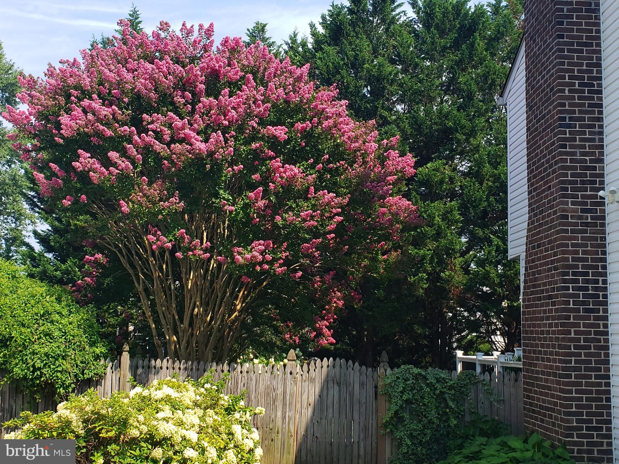 HARFORD COMMONS - Residential