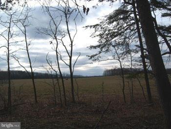 SLEEPY CREEK FARMS - Land