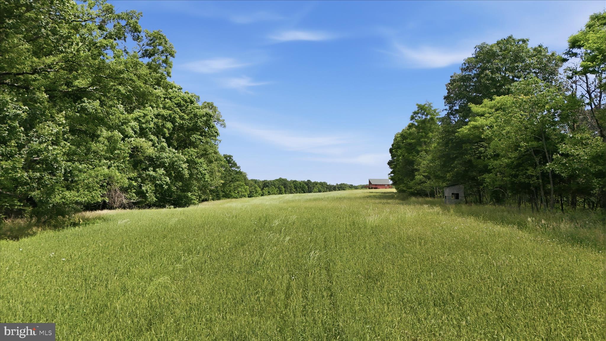 POSEY HOLLOW