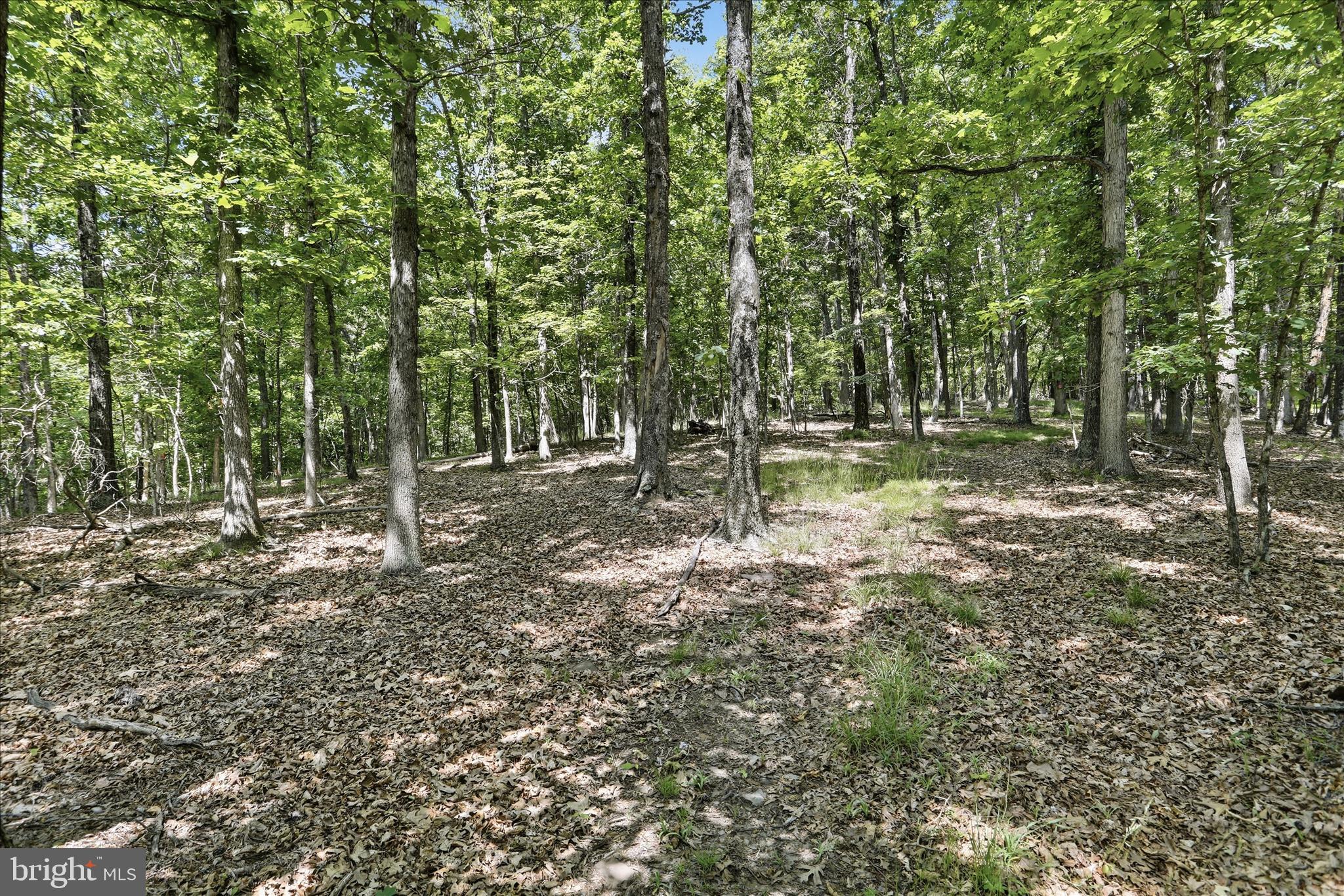 POSEY HOLLOW