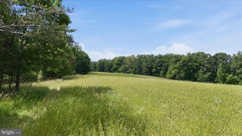 Vacant Land For Sale - Posey Hollow<br/> BERKELEY SPRINGS, WV 25411