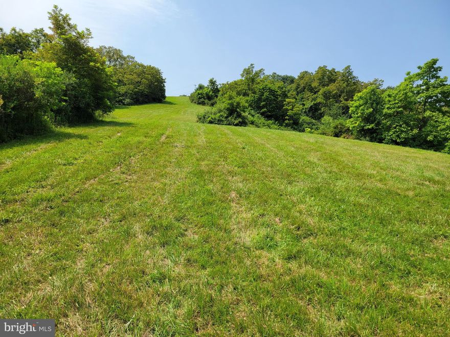 HUNTERS, HIKERS, CAMPERS, AND OUTDOOR ENTHUSIASTS TAKE A LOOK! 71+ ACRES WITH PAVED STATE MAINTAINED ROAD FRONTAGE JUST MINUTES FROM JENNINGS-RANDOLPH LAKE. PROPERTY HAS A MIXTURE OF OPEN FIELDS AND MATURE WOODLAND WITH WILDLIFE GALORE. SMALL CABIN HAS ELECTRICITY, HEAT, COMPOSTING TOILET, AND A CELL PHONE BOOSTER TO STREAM TV.  ALSO INCLUDED IS A 24X32 FOOT GARAGE FOR EQUIPMENT STORAGE.  8X8 SHED IN THE UPPER FIELD IN THE MIDDLE OF MATURE (PRODUCING) APPLE TREES AND BERRY BUSHES. ABUNDANT WILD LIFE AND BEAUTIFUL MOUNTAIN VIEWS MAKES THIS UNIQUE, ONE OF A KIND, PROPERTY PRICELESS. MINUTES TO THE POTOMAC RIVER,  KITZMILLER, MD. , AND DEEP CREEK LAKE, AND ONLY 2.5 HOURS FROM THE METRO AREAS. COME TAKE A LOOK...YOU WON'T REGRET IT! CALL TIM