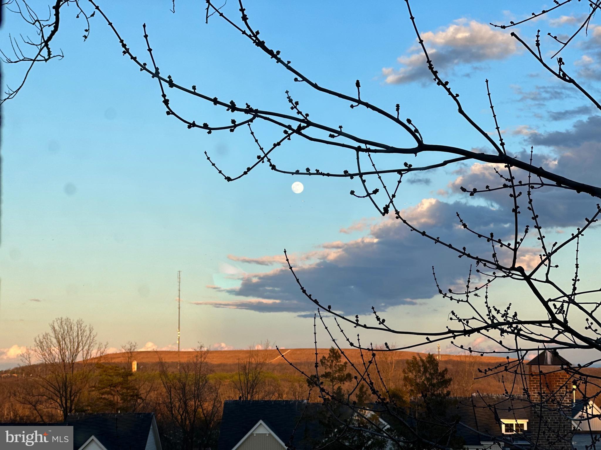 OCCOQUAN RIDGE CONDO - Residential