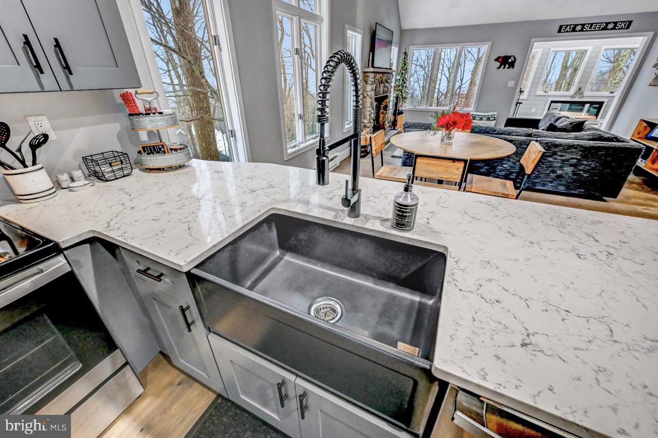 SNOW RIDGE VILLAGE - Residential