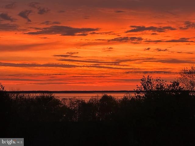 FOUR SEASONS AT KENT ISLAND - Residential