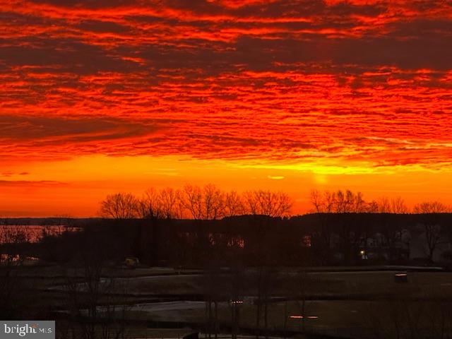 FOUR SEASONS AT KENT ISLAND - Residential