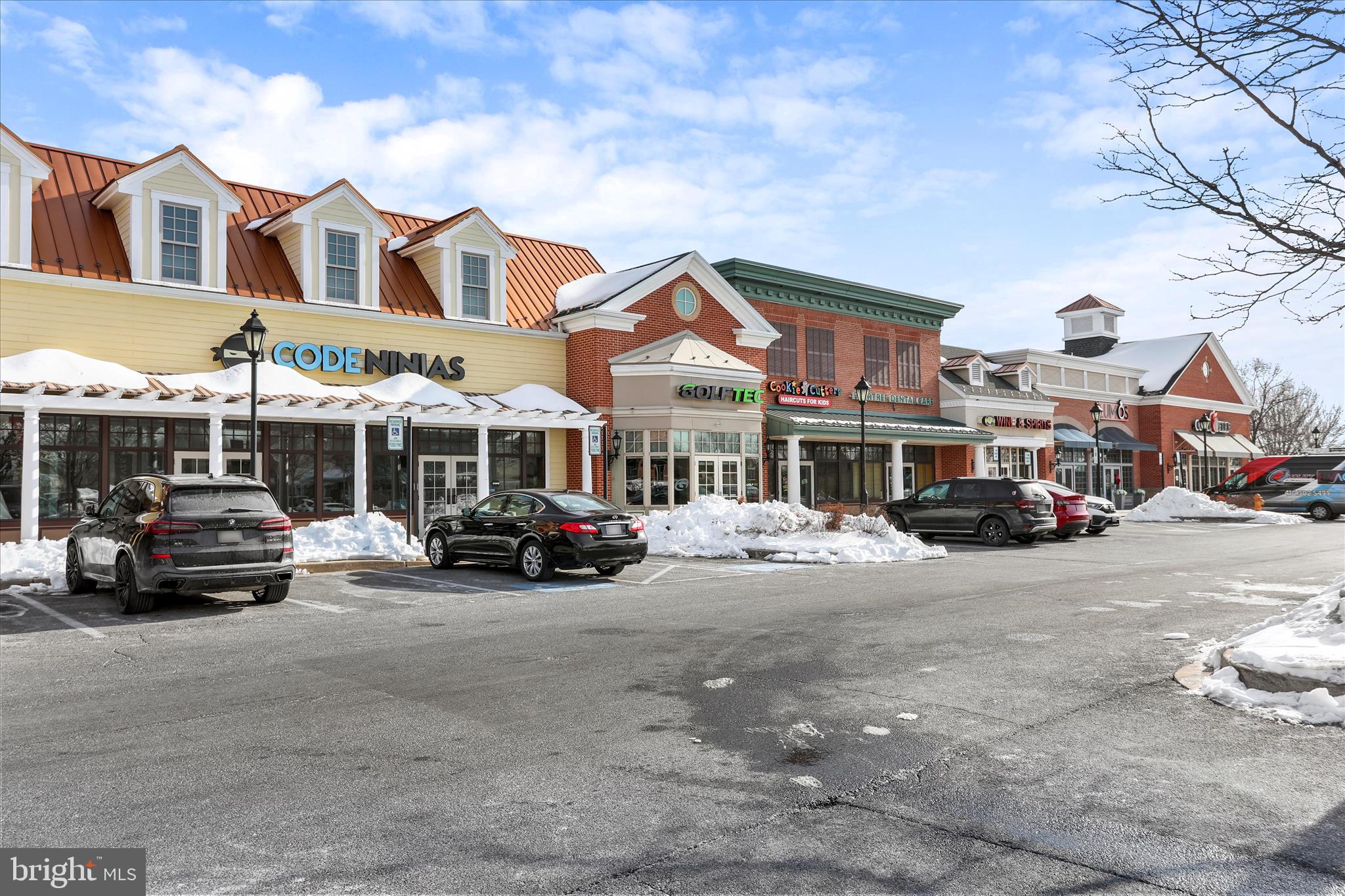 VILLAGE OF MONTGOMERY RUN - Residential