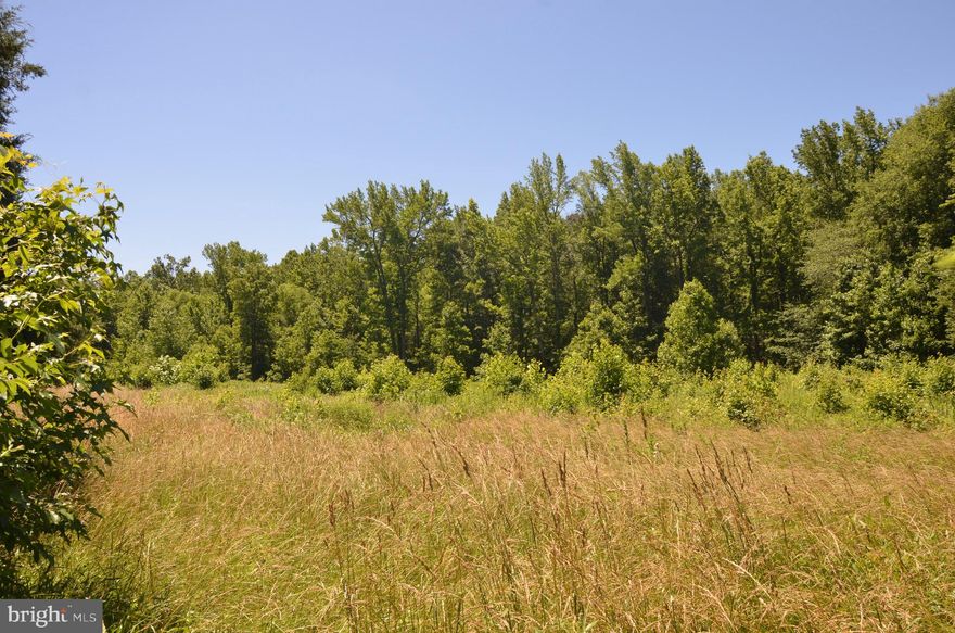 Want some privacy and a large lot in Edgewater?   Great opportunity to  build your next home on this is a 10 acre parcel that offers field, wooded areas and cleared areas and a stream.  Backs to Smithsonian property.    The value is in the land and the footprint.  There is an older home on the property that is currently lived in.   Do not enter.  Access will be given for serious offers.   Passing Perc test in 2019.   We can recommend reputable builders if you would like.  It's a beautiful property.   Edgewater Blue Ribbon Schools.