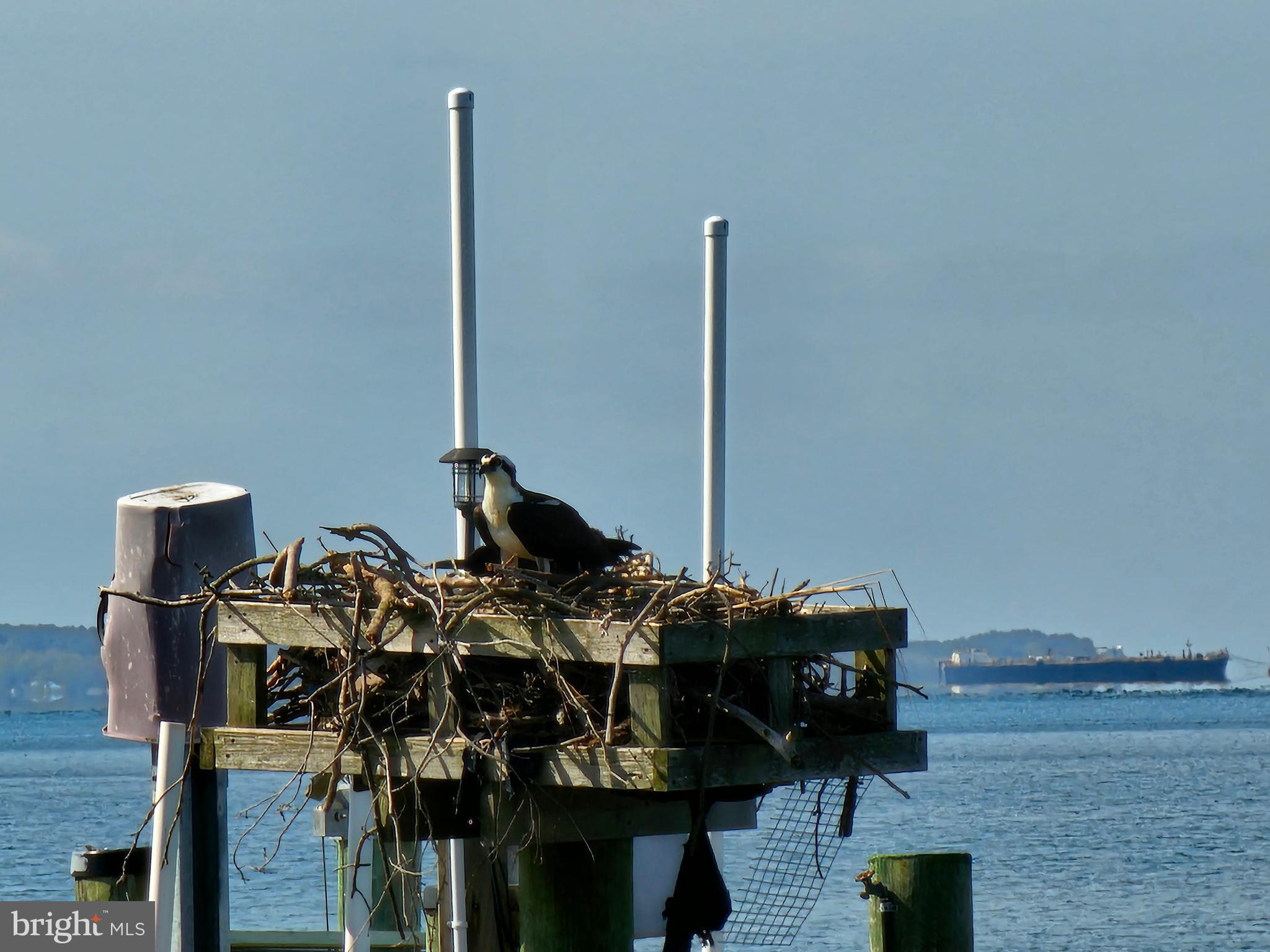 NANTICOKE ACRES - Residential