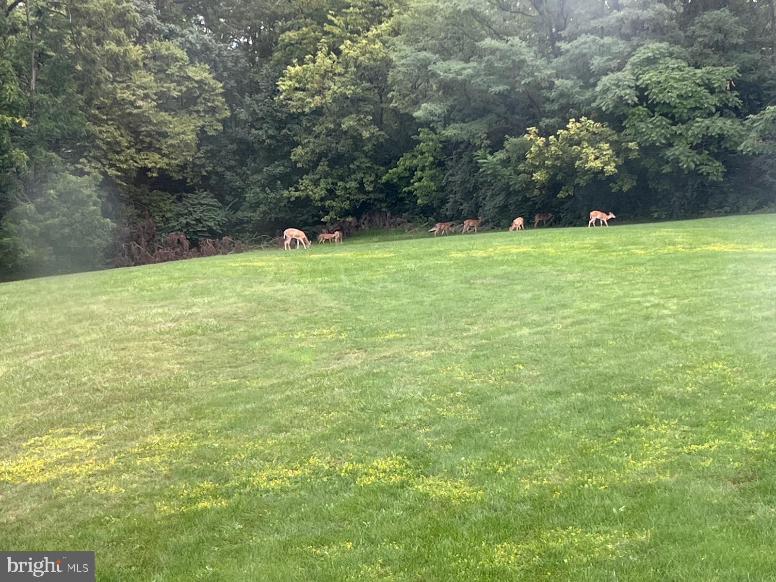 NONE AVAILABLE - Commercial Sale